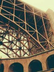 Becoming a Farm Girl