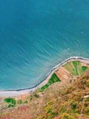 The Uncle Emperor Do