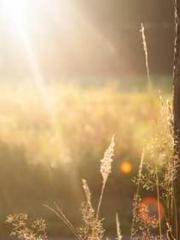 First Era, Dragon Lo