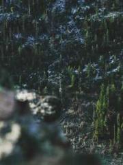 [Fast Travel] Posses