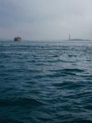 After the Divorce, I