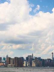 Transmigration: Feel