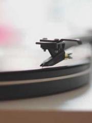 One Night of Indulge