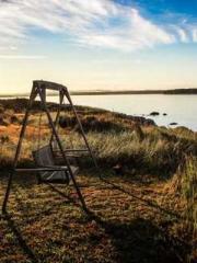 lt;lt;The Trash Husb