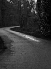 Reborn in 1989: Crea