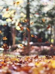 A-SOULapos;s Hoshima