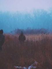 The  Princess  Rebor