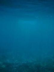 RONG Zhaonan NING Yu